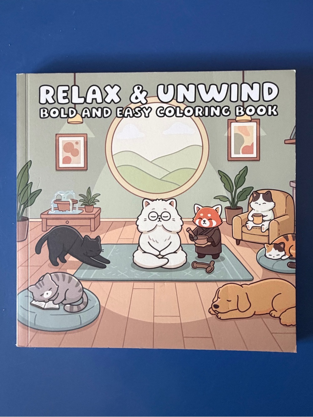 Relax & Unwind Bold and Easy Coloring Book - 54 Pages